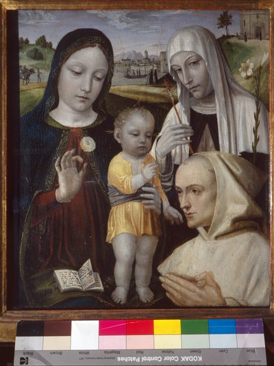 Madonna col Bambino, Santa Caterina da Siena e un monaco certosino da Ambrogio da Fossano (c.1460 1523)