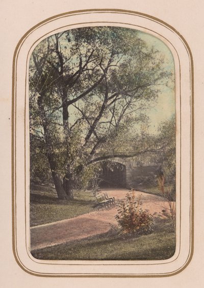 Album di carte-de-visite di vedute di Central Park, 1860 da Ambrose Jackson