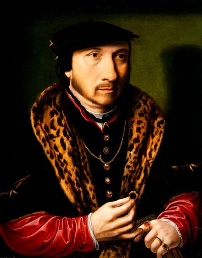 Ritratto di un gentiluomo da Ambrosius Benson