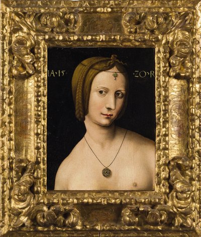 Ritratto di una signora da Ambrosius Benson