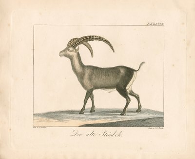  da Ambrosius Gabler