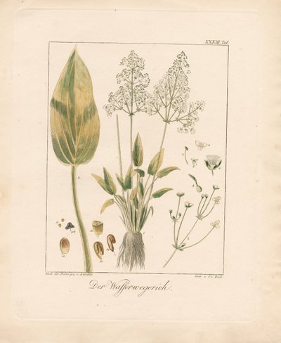  da Ambrosius Gabler