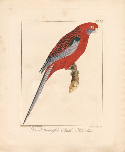  da Ambrosius Gabler