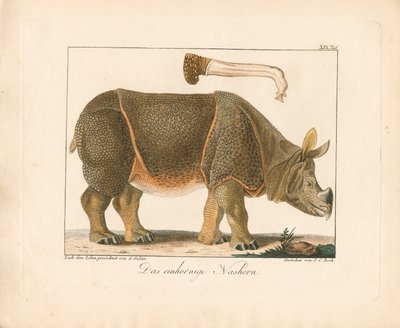  da Ambrosius Gabler