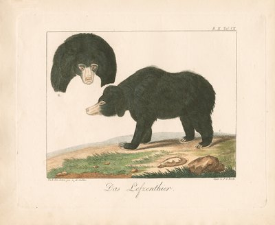 da Ambrosius Gabler