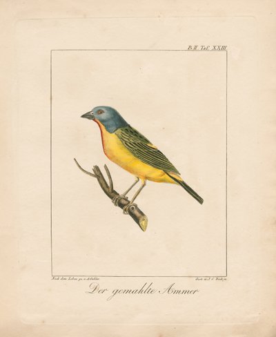  da Ambrosius Gabler
