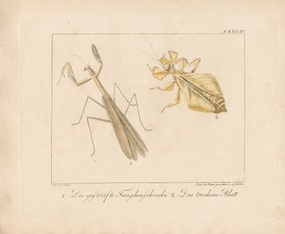 da Ambrosius Gabler