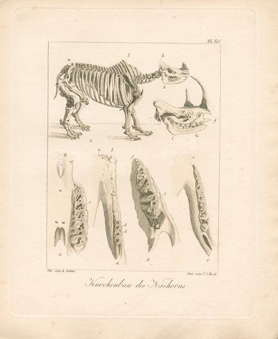  da Ambrosius Gabler