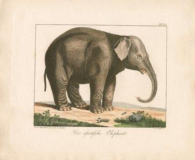  da Ambrosius Gabler