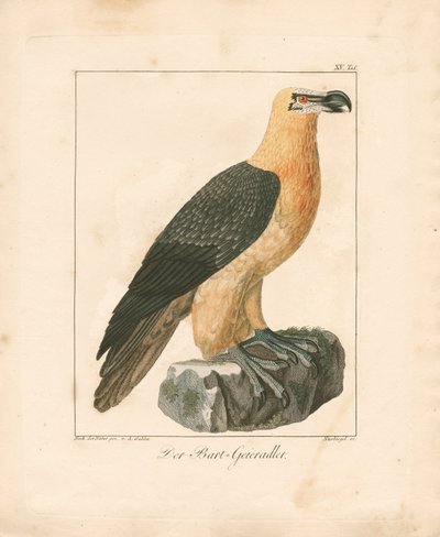  da Ambrosius Gabler