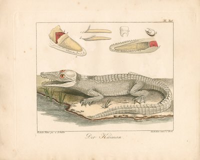  da Ambrosius Gabler