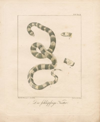  da Ambrosius Gabler