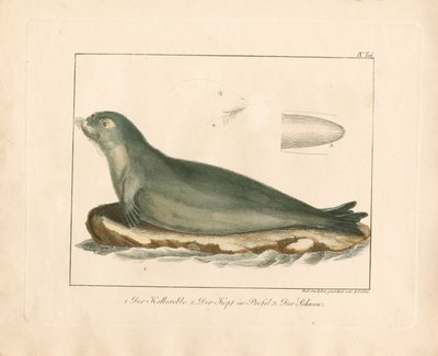  da Ambrosius Gabler