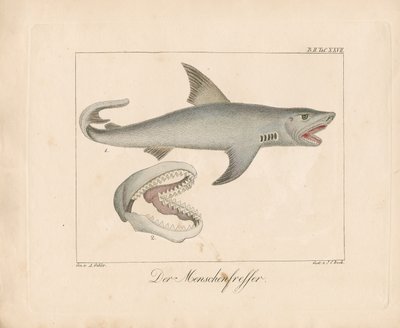 da Ambrosius Gabler