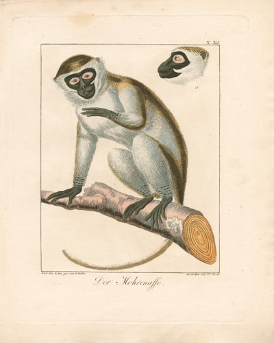  da Ambrosius Gabler