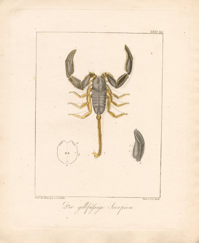  da Ambrosius Gabler
