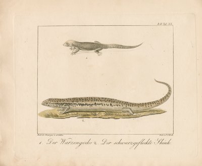  da Ambrosius Gabler