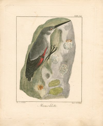  da Ambrosius Gabler