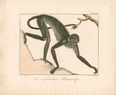  da Ambrosius Gabler