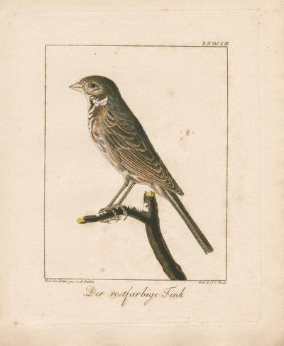  da Ambrosius Gabler