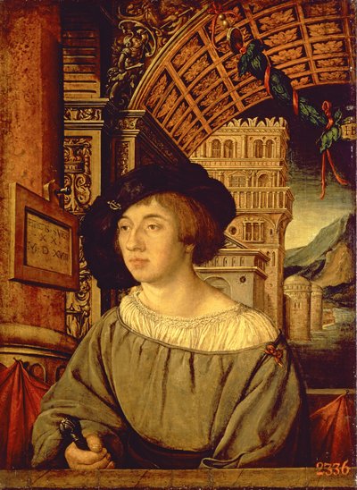 Ritratto di un giovane uomo, 1518 da Ambrosius Holbein
