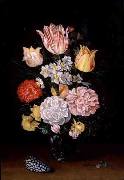 Natura Morta di Fiori con una Conchiglia da Ambrosius the Younger Bosschaert