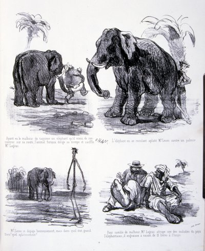 Illustrazione per L