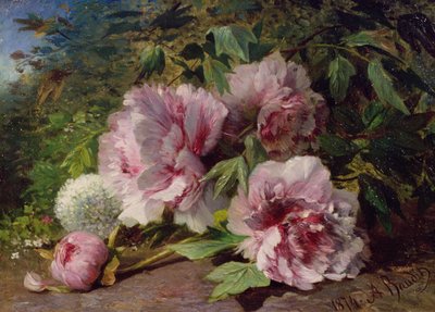 Studio di peonie, 1874 da Amedee Baudit
