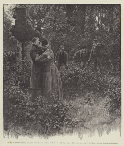 Amore Cieco, di Wilkie Collins da Amedee Forestier