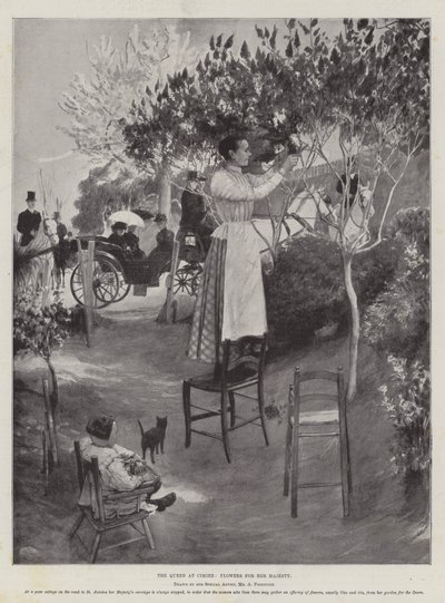 La Regina a Cimiez, Fiori per Sua Maestà da Amedee Forestier