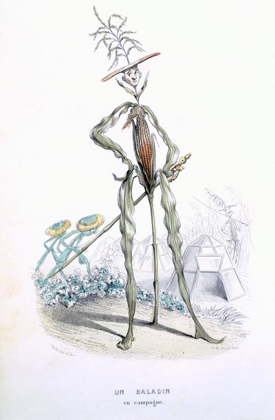 Un passeggiatore di campagna, da 