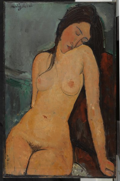 Nudo femminile, c.1916 da Amedeo Modigliani