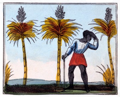 Taglio della canna da zucchero da Amelia Alderson Opie