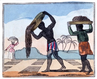 Concimazione, 1826 da Amelia Alderson Opie
