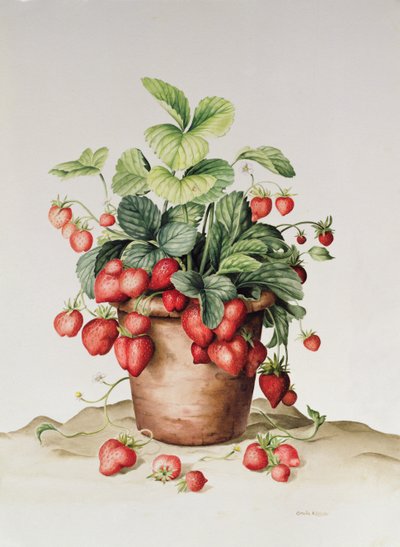 Fragole in un vaso, 1998 da Amelia Kleiser