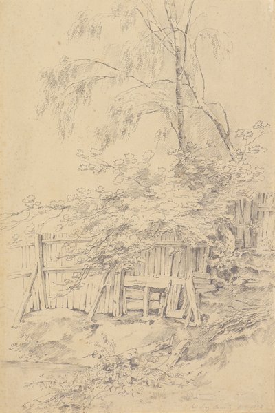 Bromley Hill da Amelia Long