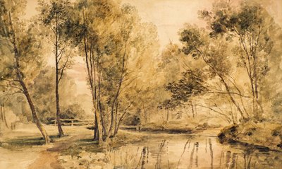 Studio di Alberi da Amelia Long