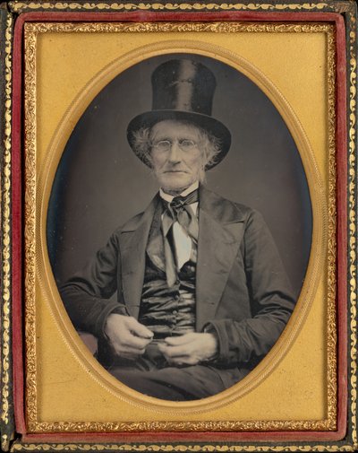 Ritratto di un uomo da American 19th Century