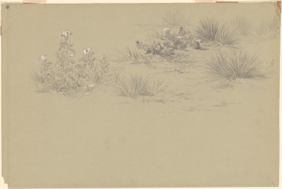 Cespuglio fiorito e piante del deserto da American 19th Century after John Frederick Kensett