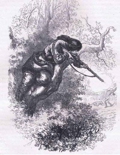 Tiratore americano su un albero, illustrazione da Cassells History of the United States pubblicata da Cassell, Petter & Galpin, c.1900 da American English school