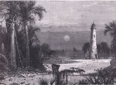 Veduta della costa della Florida, illustrazione da Cassells History of the United States pubblicata da Cassell, Petter & Galpin, c.1900 (litografia) da American English school