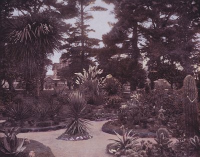 Un giardino di cactus della California del Sud da American Photographer (after)