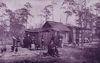 Un campo di consumptivi, vicino al Lago Worth, Florida da American Photographer (after)