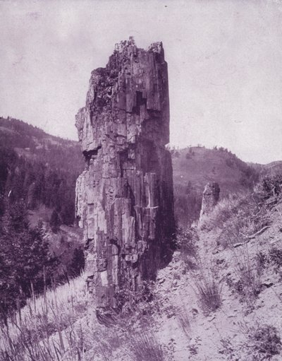 Un albero pietrificato nelle badlands del Dakota da American Photographer (after)