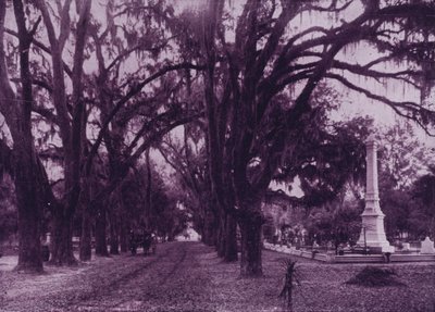 Cimitero di Bonaventure, Savannah, Georgia da American Photographer (after)