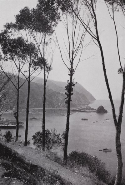 California: Baia di Avalon, Isola di Santa Catalina, terra magica sul Pacifico a 30 miglia dalla terraferma della California meridionale da American Photographer (after)