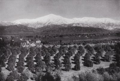 California: Redlands, da Smiley Heights, sole, aranceti e cime innevate da American Photographer (after)