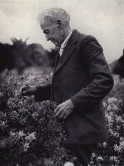 Luther Burbank tra i suoi fiori da American Photographer (after)