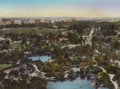 New York: Central Park, dalla 59ª Strada verso Central Park West da American Photographer (after)