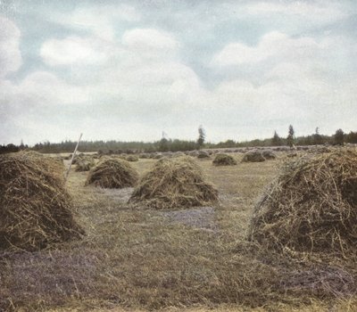 Oregon: Erba medica da American Photographer (after)